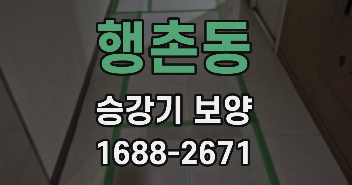 행촌동 승강기 보양
