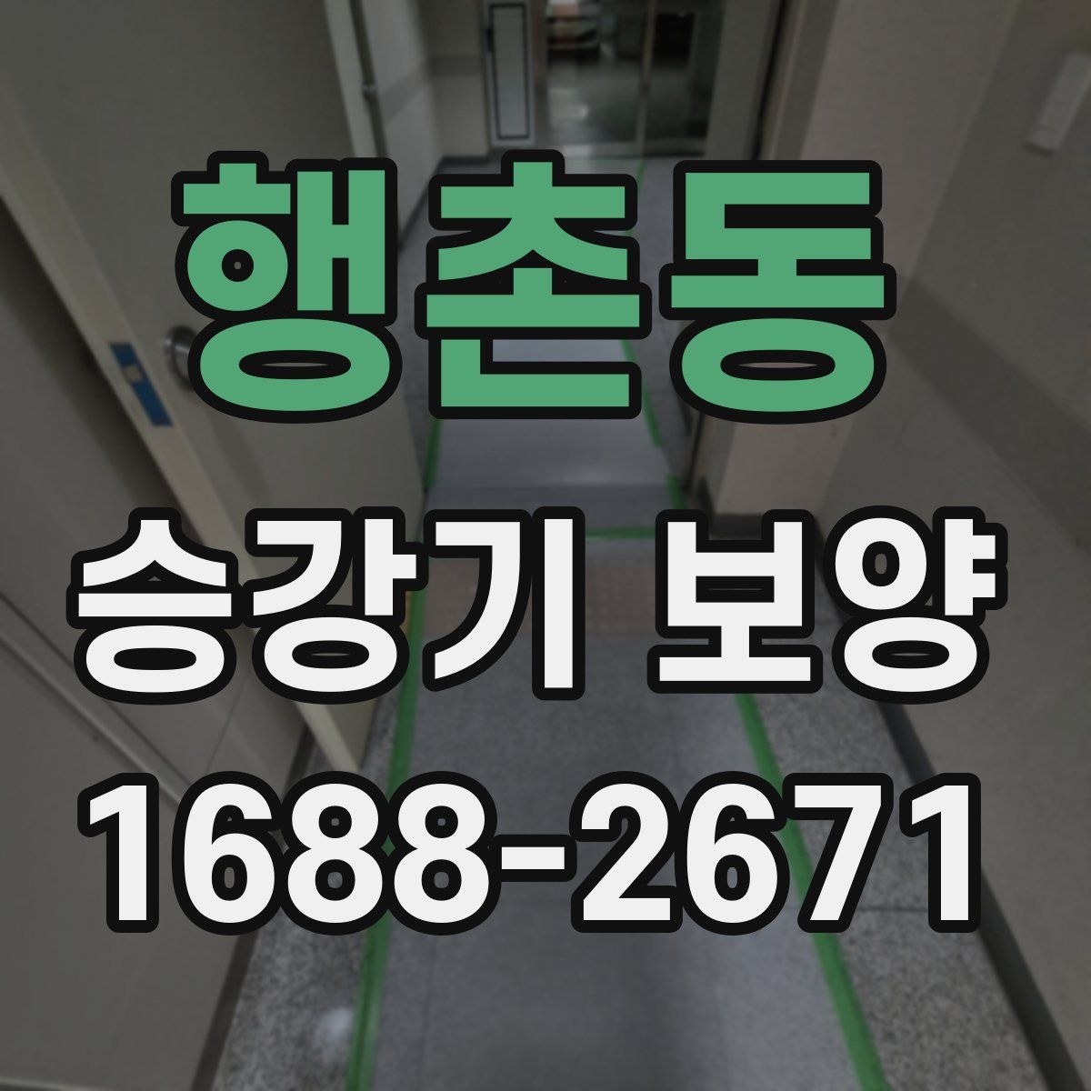 행촌동 승강기 보양