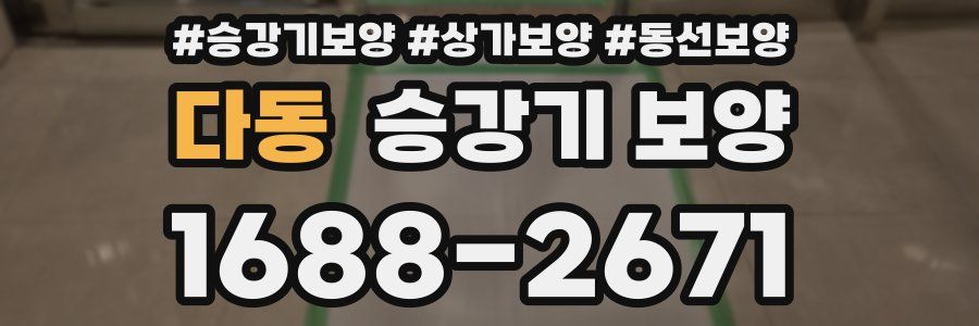 다동 승강기 보양