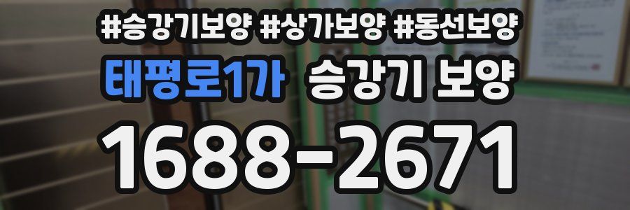 태평로1가 승강기 보양