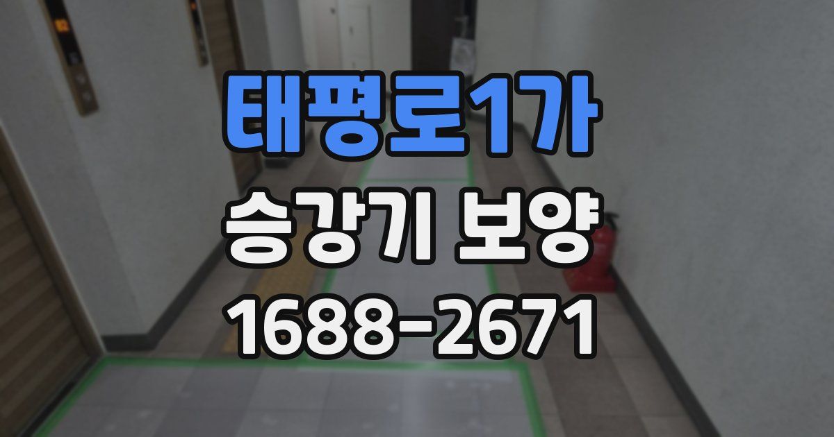 태평로1가 승강기 보양