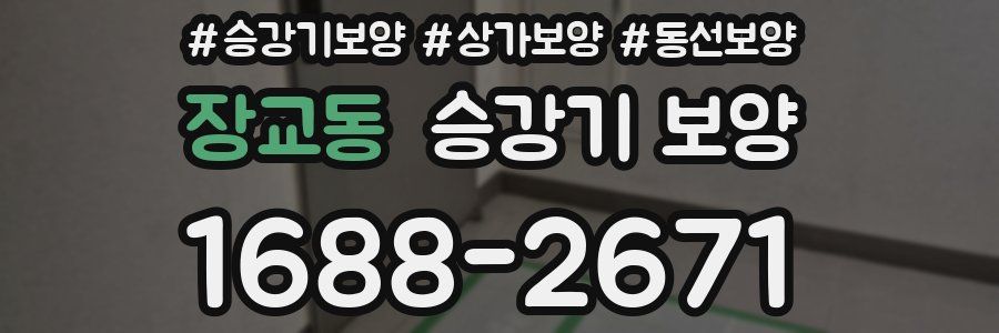 장교동 승강기 보양