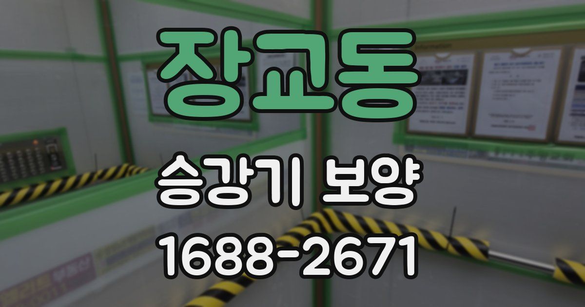 장교동 승강기 보양
