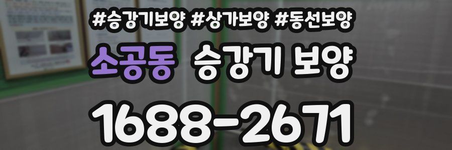 소공동 승강기 보양