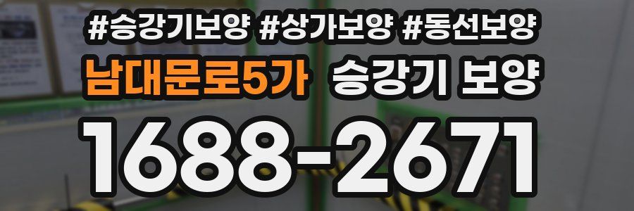 남대문로5가 승강기 보양