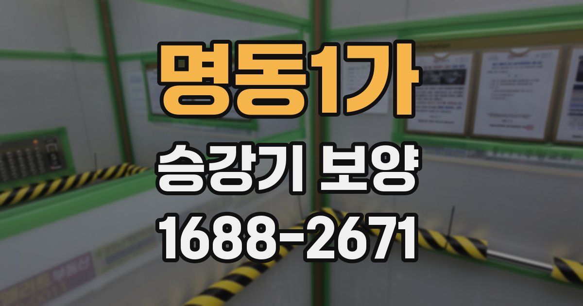 명동1가 승강기 보양