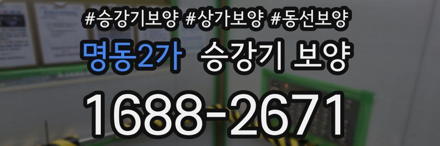 명동2가 승강기 보양