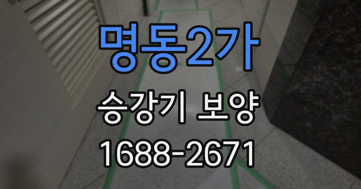 명동2가 승강기 보양