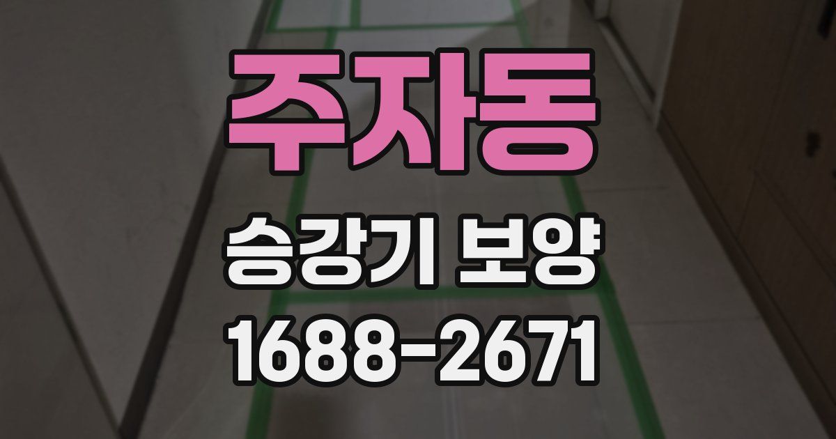 주자동 승강기 보양