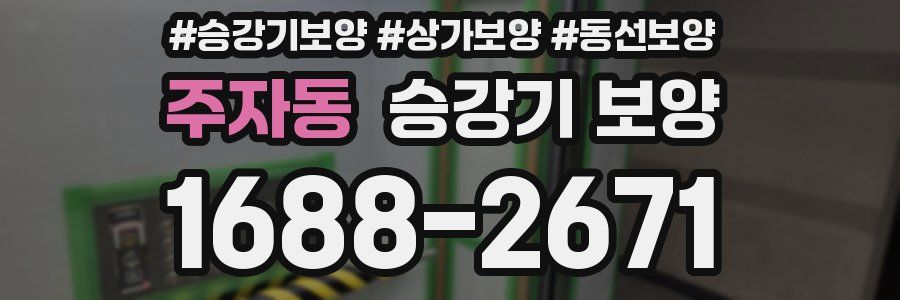 주자동 승강기 보양