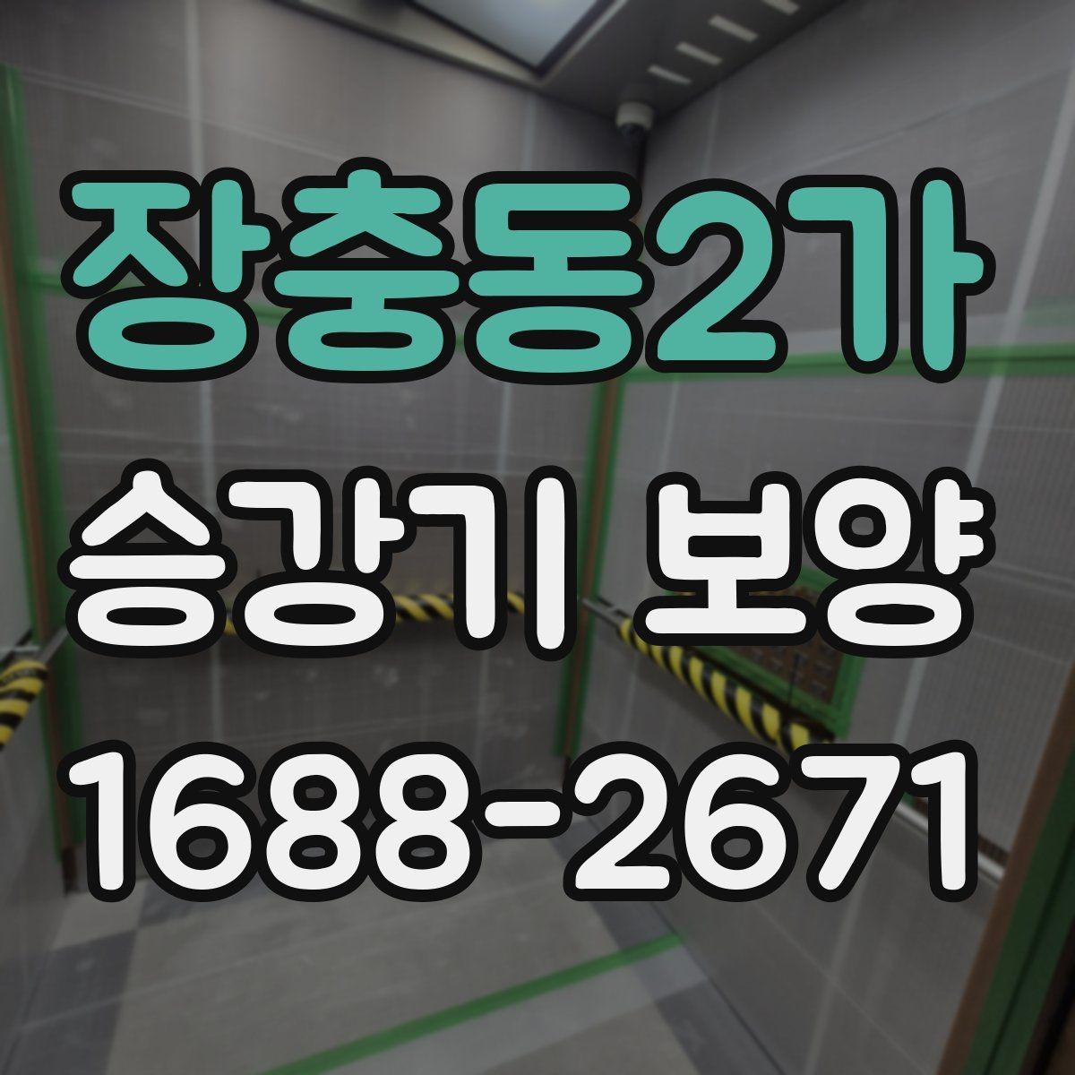 장충동2가 승강기 보양 공정에서 보호해야 할 주요 부위