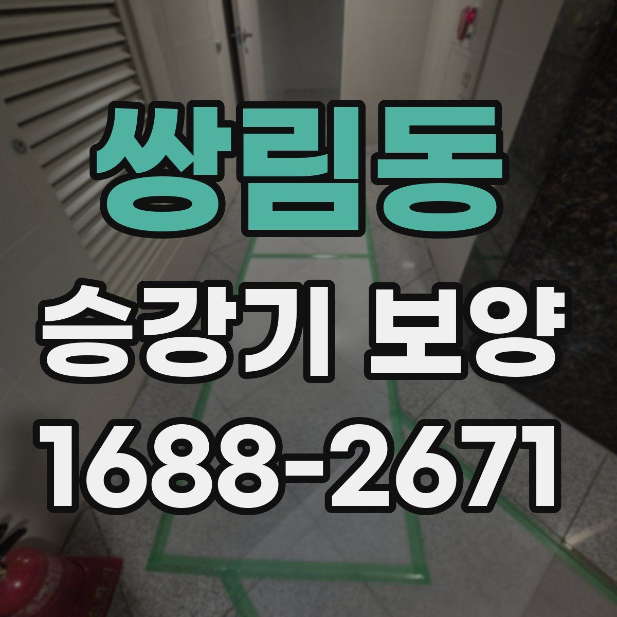 쌍림동 승강기 보양