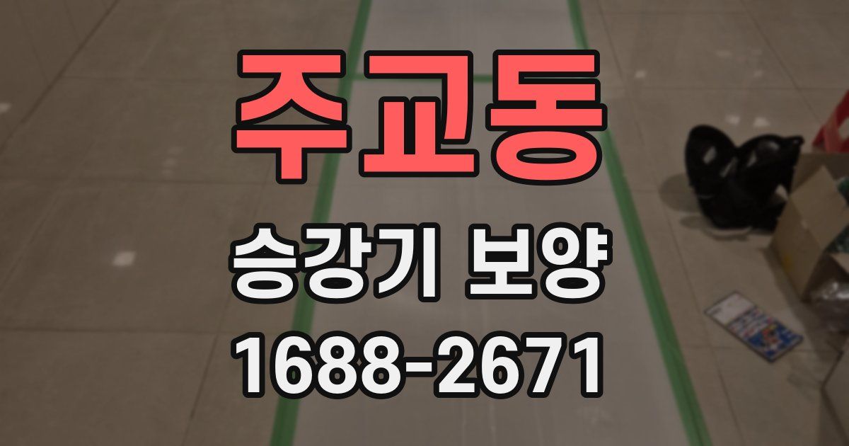 주교동 승강기 보양