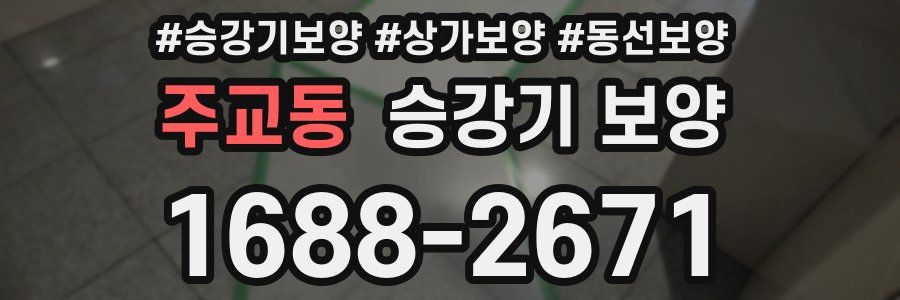 주교동 승강기 보양