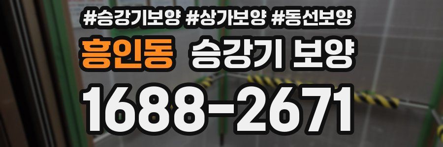 흥인동 승강기 보양