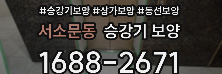 서소문동 승강기 보양