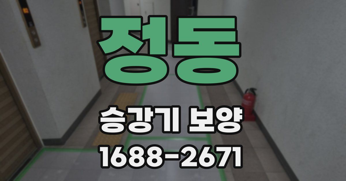 정동 승강기 보양