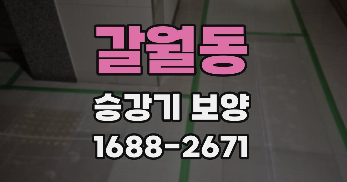 갈월동 승강기 보양