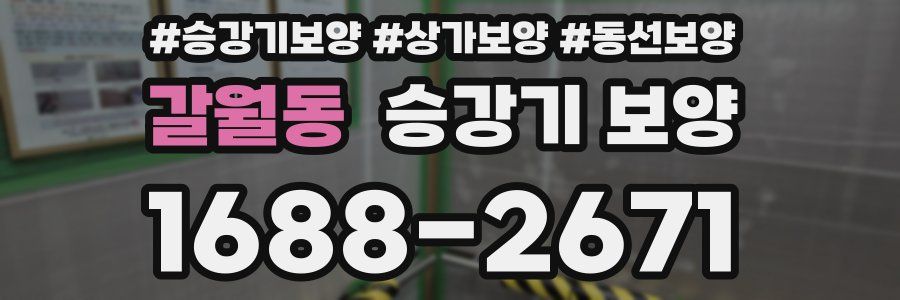갈월동 승강기 보양
