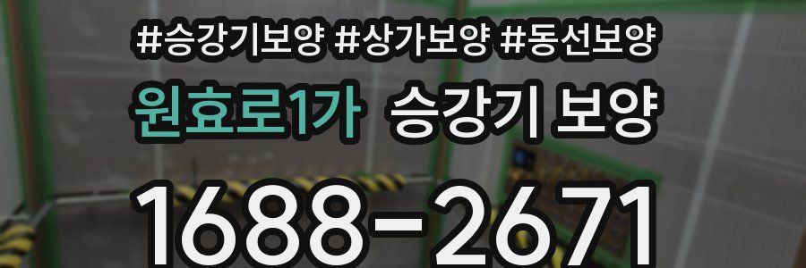 원효로1가 승강기 보양