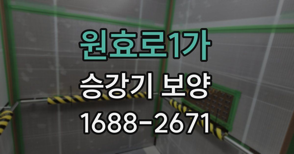 원효로1가 승강기 보양