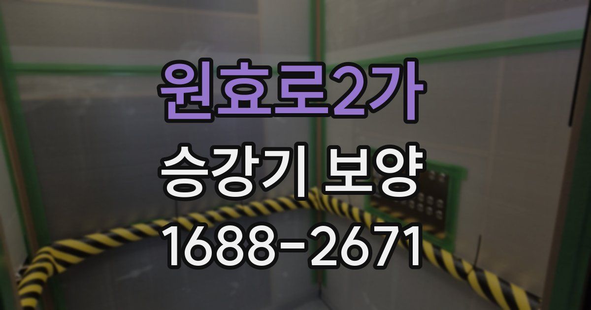 원효로2가 승강기 보양