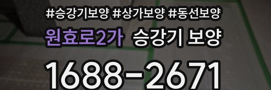 원효로2가 승강기 보양
