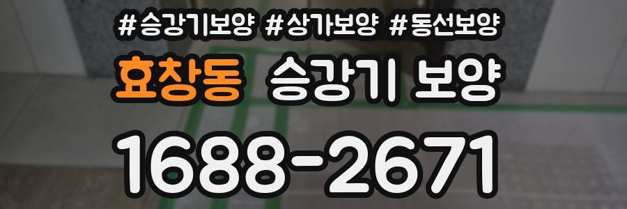 효창동 승강기 보양