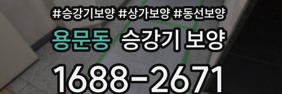 용문동 승강기 보양