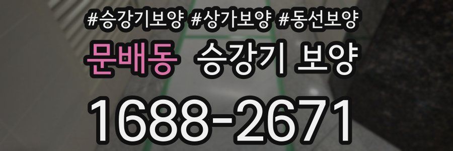 문배동 승강기 보양