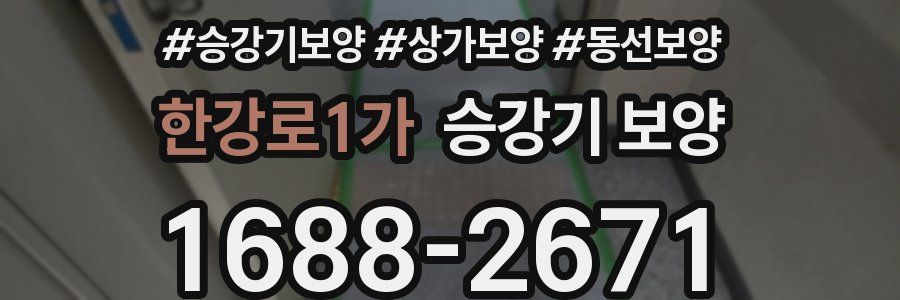 한강로1가 승강기 보양