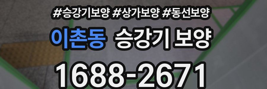 이촌동 승강기 보양