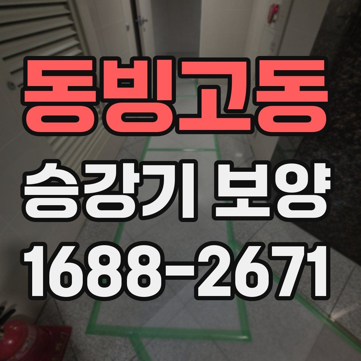 동빙고동 승강기 보양 기준을 세울 때 참고할 점