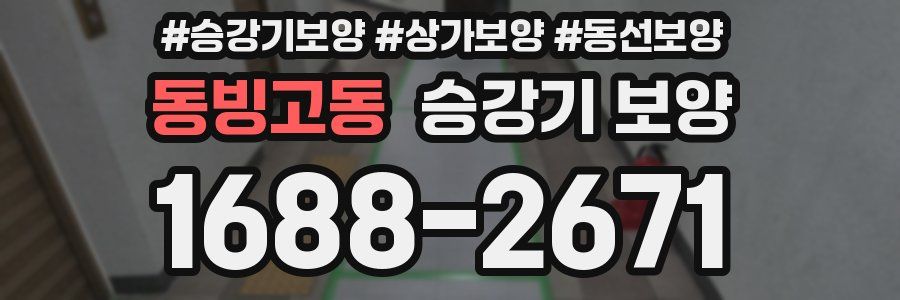동빙고동 승강기 보양