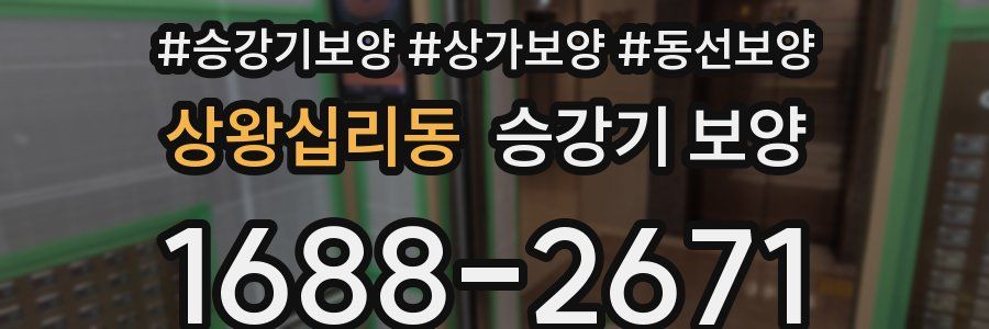 상왕십리동 승강기 보양