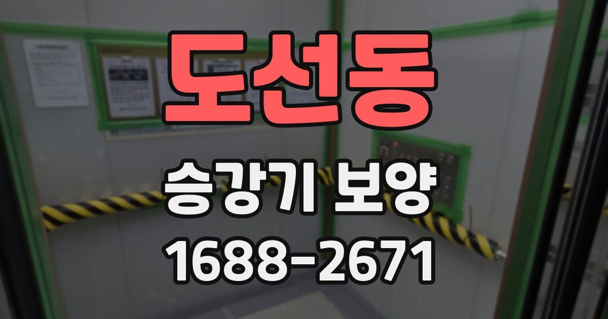 도선동 승강기 보양