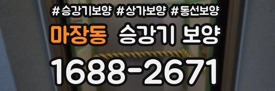 마장동 승강기 보양