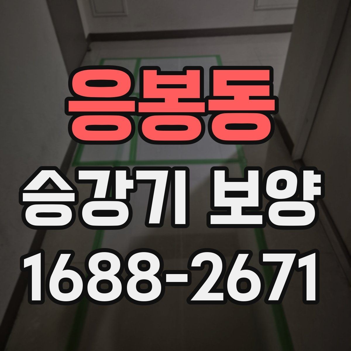 응봉동 승강기 보양 업체 상담 전 알아둘 내용