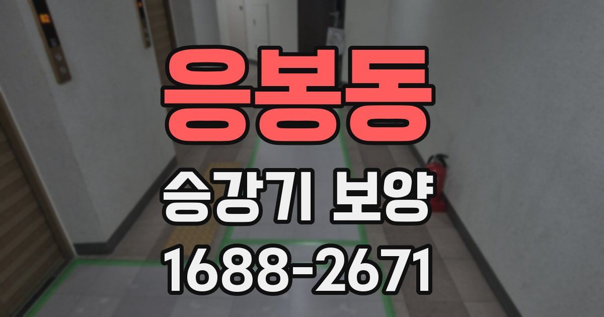 응봉동 승강기 보양