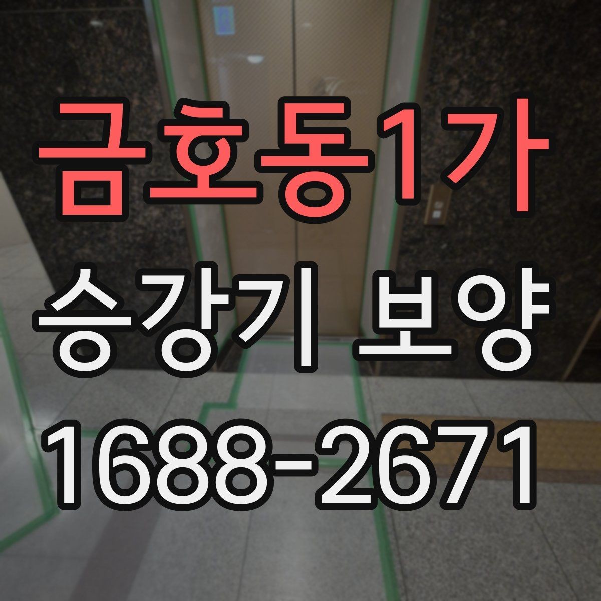 금호동1가 승강기 보양 후 오염 방지를 위한 관리법