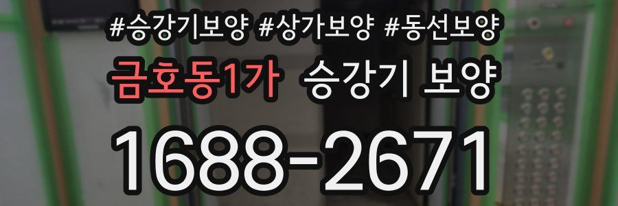 금호동1가 승강기 보양
