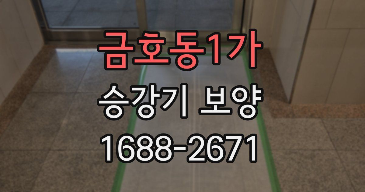 금호동1가 승강기 보양