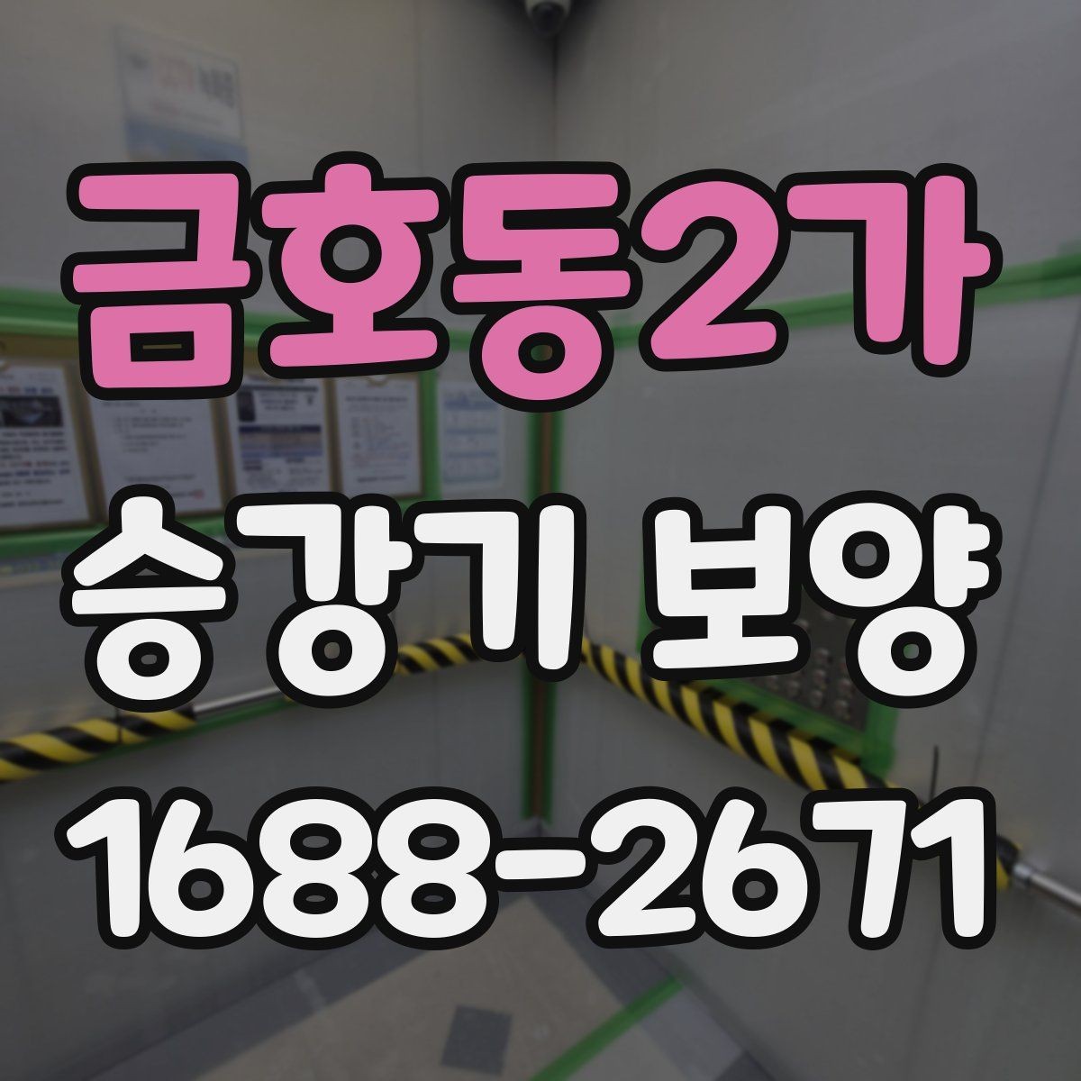 금호동2가 승강기 보양 자재 선택 기준과 현장별 차이