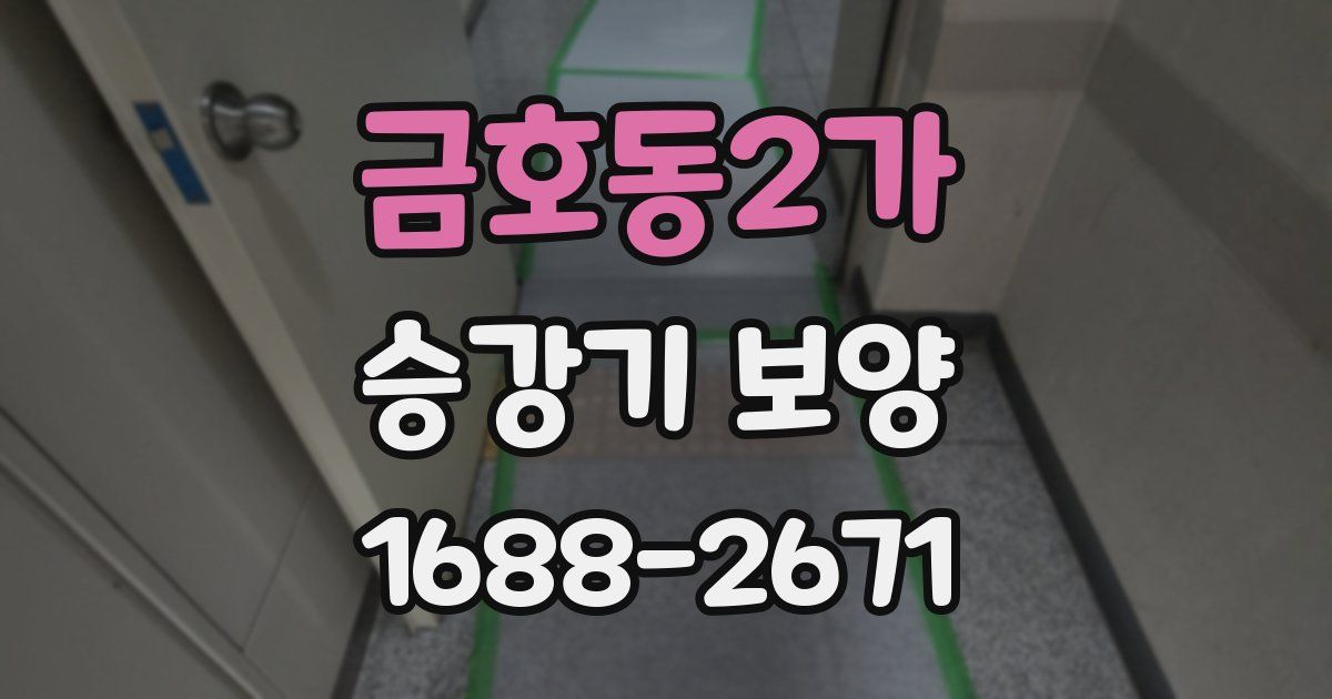 금호동2가 승강기 보양