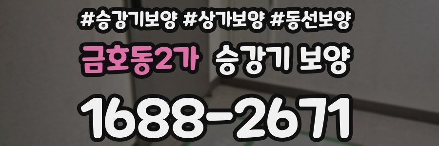 금호동2가 승강기 보양