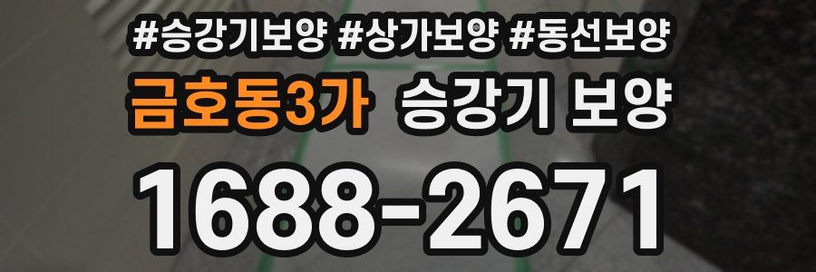 금호동3가 승강기 보양