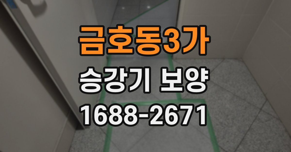 금호동3가 승강기 보양