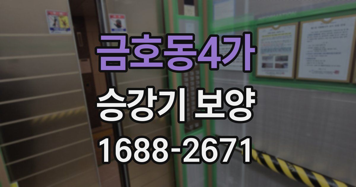 금호동4가 승강기 보양