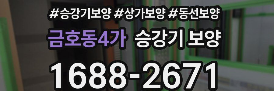 금호동4가 승강기 보양