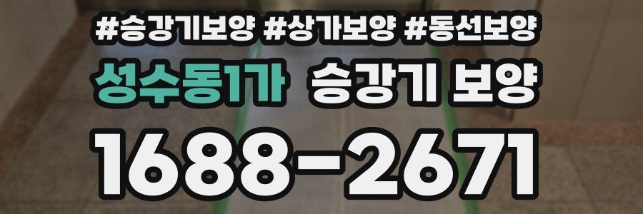 성수동1가 승강기 보양